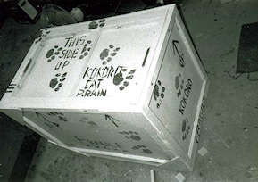 kokorobrainbox1.jpg